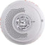 System Sensor SPSCWL Ceiling Speaker Strobe